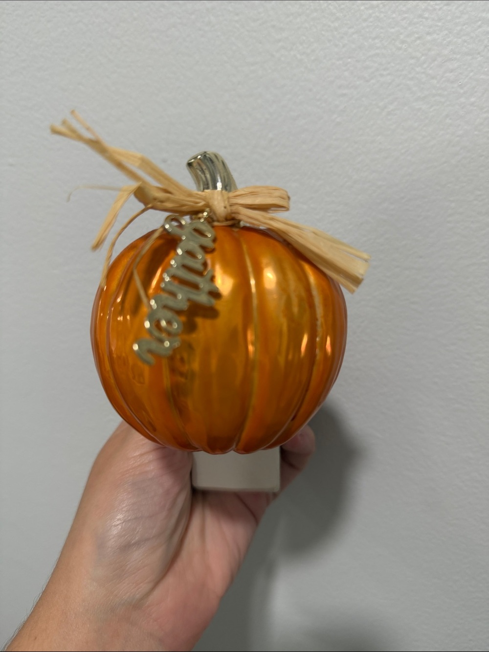 Bath and Body works scent plug in pumpkin